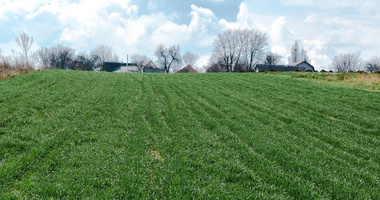 Działka jako wkład własny - czy to możliwe?