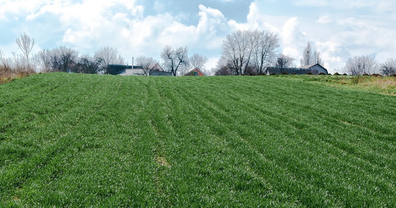 Działka jako wkład własny - czy to możliwe?