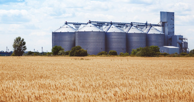 Inwestowanie w pszenicę i zboże – czy to się opłaca?